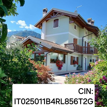 Green Rose Cesiomaggiore Zewnętrze zdjęcie
