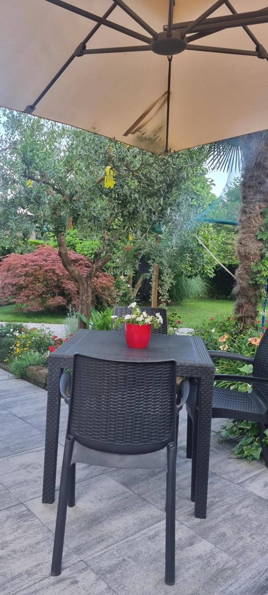Green Rose Cesiomaggiore Zewnętrze zdjęcie
